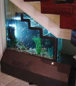 Aquarium under the stairs