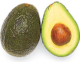 Avocado- Harmful food item for dogs