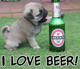 Alcohol products are harmful for dogs