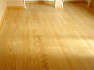 Review of Cork Flooring