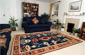 Colorful living room carpet